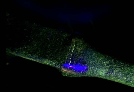 Ensayos no destructivos SEL